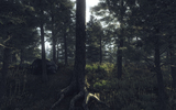 Forest_by_trainfender-d34uxks