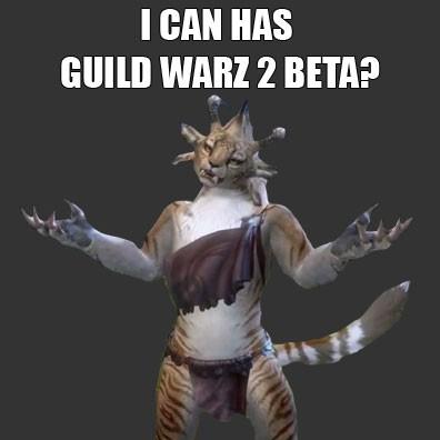 Guild Wars 2 - Немного Юмора